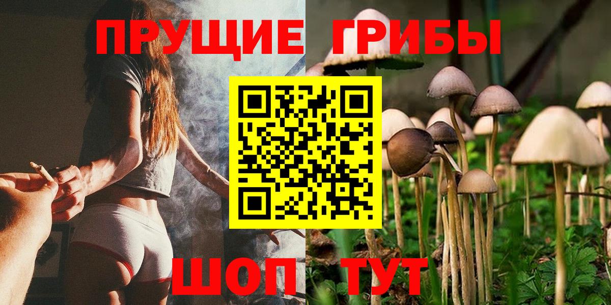 Псилоцибиновые грибы Psilocybe  Вход с VPN  Галлюциногенные грибы мухоморы  Кирово-Чепецк 
